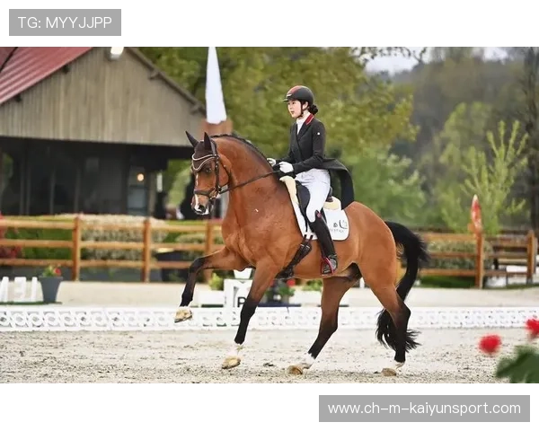 荷兰马术协会与大学合作,开展马术运动营养研究,优化饮食方案。 荷兰马术协会与大学合作,开展马术运动营养研究,优化饮食方案。