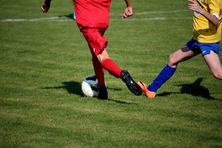 开云体育app在线-中国田径队在世界舞台上表现优异，奖牌不断，中国田径队排名